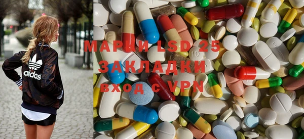 ГАЛЛЮЦИНОГЕННЫЕ ГРИБЫ Алексин