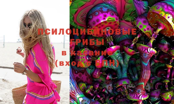 ГАЛЛЮЦИНОГЕННЫЕ ГРИБЫ Алексин
