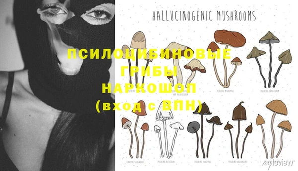 дмт Алексеевка