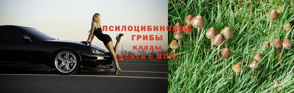 дмт Алексеевка