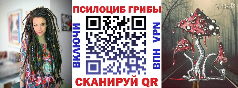 Купить закладки  Пионерский  Галлюциногенные грибы Magic Shrooms 